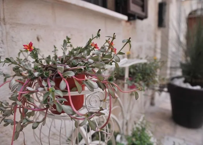 Dimora Monaco Daire Monopoli