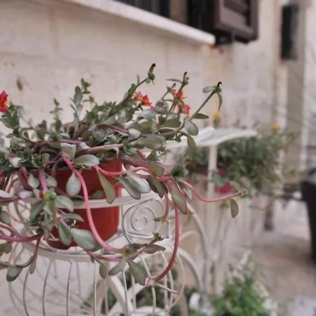 Dimora Monaco 公寓 莫诺波利